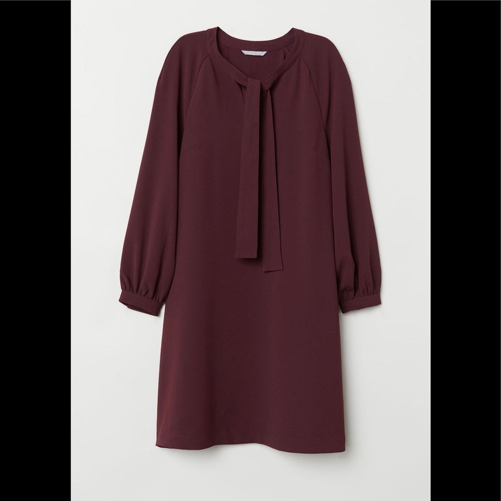 H&M Burgundy Dress with ties